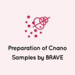 Preparation of Cnano Samples by BRAVE